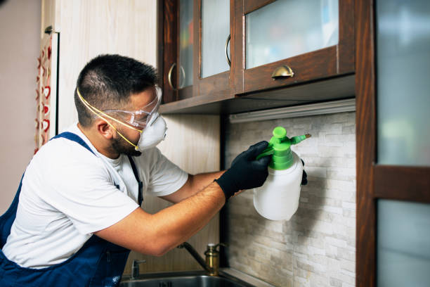 Best Residential Pest Control  in Oconomowoc, WI